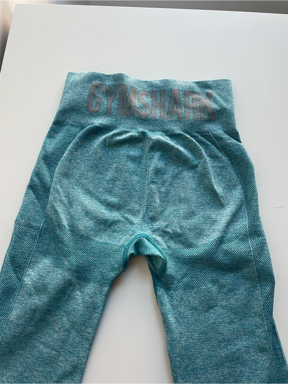 Gymshark Women’s Teal Seamless Leggings